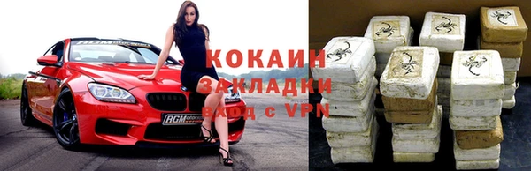 крисы Алзамай
