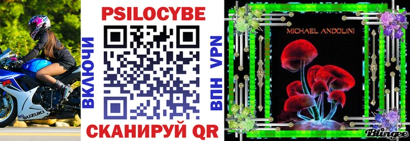 купить наркоту  Карачаевск  Псилоцибиновые грибы Psilocybine cubensis 