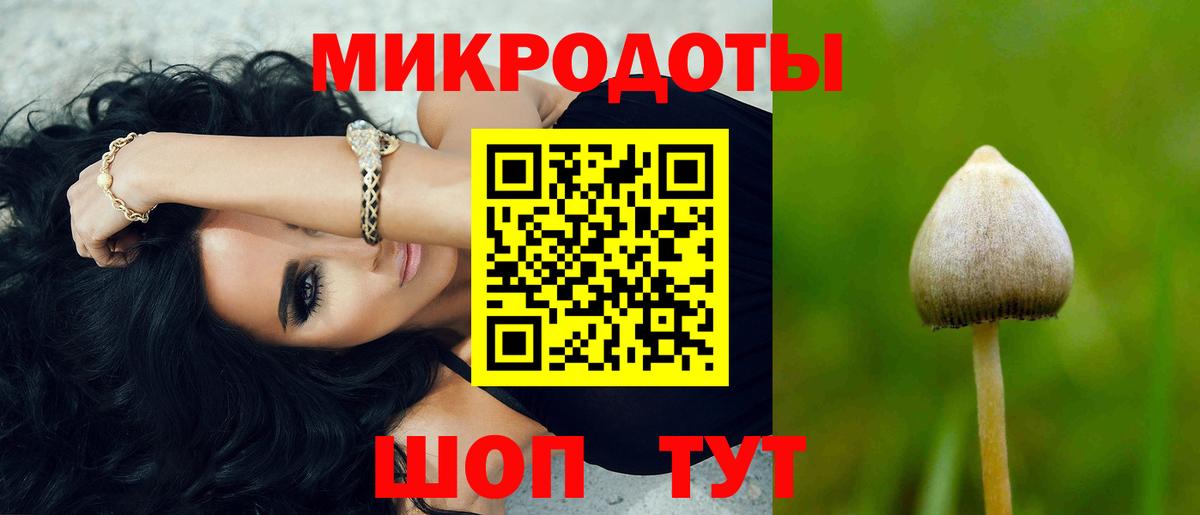 купить  цена  Псилоцибиновые грибы Psilocybe  Вход с VPN  Галлюциногенные грибы Psilocybe  Карачаевск 